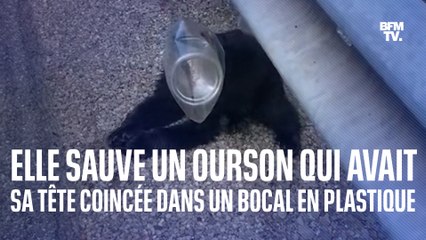 Elle sauve un ourson qui avait sa tête coincée dans un bocal en plastique
