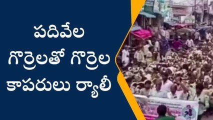 ప్రకాశం: పదివేల గొర్రెలతో తహసిల్దార్ కార్యాలయం ముట్టడి... ఎందుకంటే?