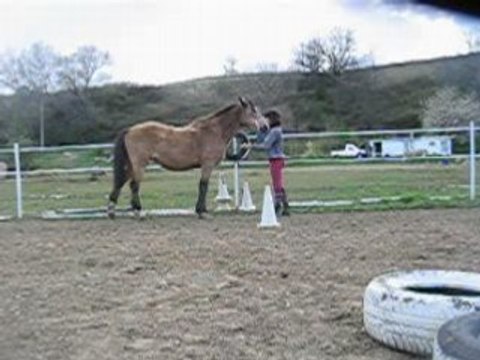 Diva pas espagnol début pas mal =D