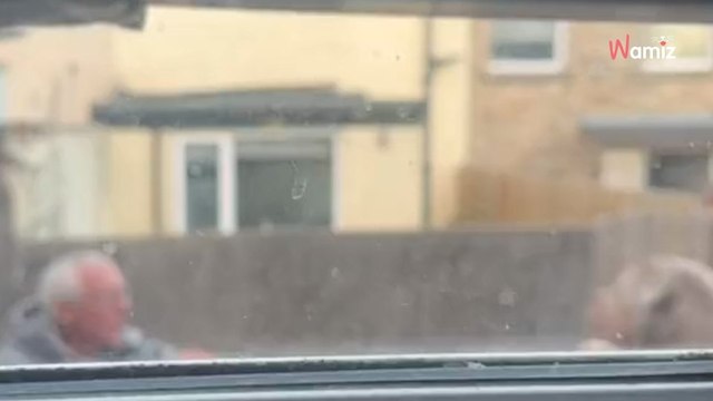 Elle voit son immense American Bully s’approcher d’un retraité : sa réaction la fait fondre en larmes (Vidéo)