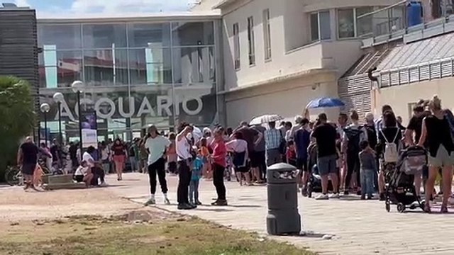 Livorno, lunghe code all'Acquario: struttura presa d'assalto dai turisti / Video