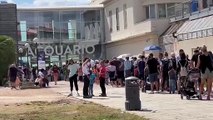 Livorno, lunghe code all'Acquario: struttura presa d'assalto dai turisti / Video