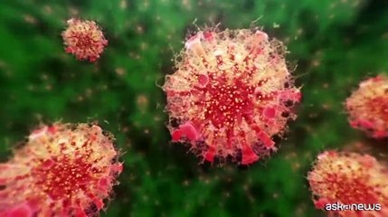 Covid-19, il virus rialza la testa: osservata speciale la variante BA.2.86