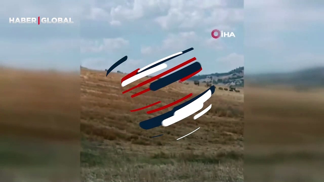 Yer: Çorum... Vatandaş büyük şaşkınlık yaşadı... Cep telefonu kamerası ile kayıt altına aldı