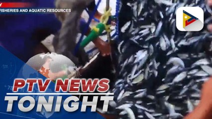 BFAR to continue MMK program, awarding ceremony to be held on Sep. 22