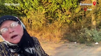 Kayıp Korhan Berzeg'in doberman cinsi köpeği sağ olarak bulundu