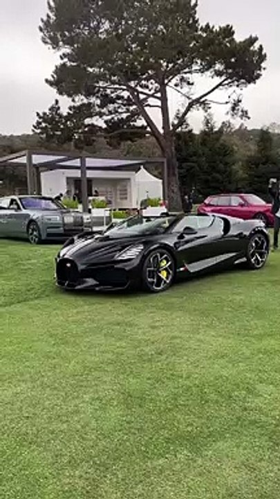 Bugatti Mistral