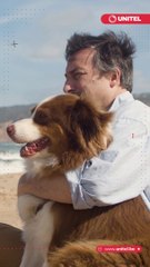 Alguna vez te preguntaste, ¿Perciben los perros el fallecimiento de una persona?