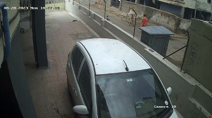 Video...... Ahmedabad : नरोडा में मवेशी के हमले में महिला गंभीर रूप से घायल