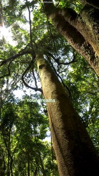 Fueling Greatness | Motivational Quote | #DailyMindsetMagic | #Motivation #Mindset #Lifestyle #Mentality #Inspiration #Quotes #Positive #Deep #Dream #Shorts #Reels #TikTok