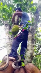 A great person who does not run away from problems