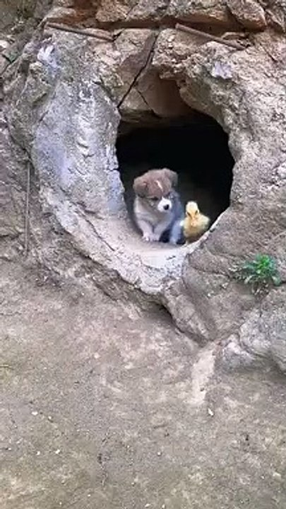 Two cuties