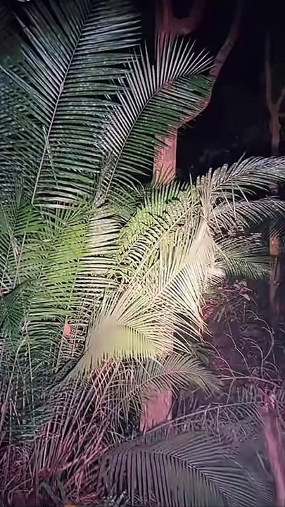 Paranormal activity ghost on camera part 195