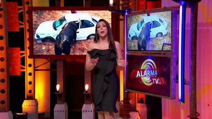 Ese Toro Enamorado Del Auto...