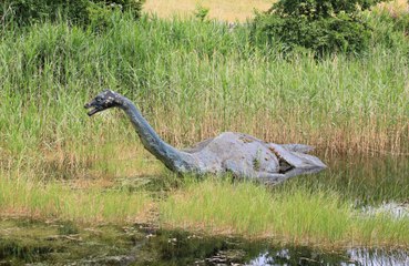 Loch Ness monster search was unsuccessful