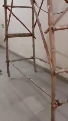 Ladder In SRMS Medical College Postmortem House Starts Walking By Itself | Video Viral | Bareilly