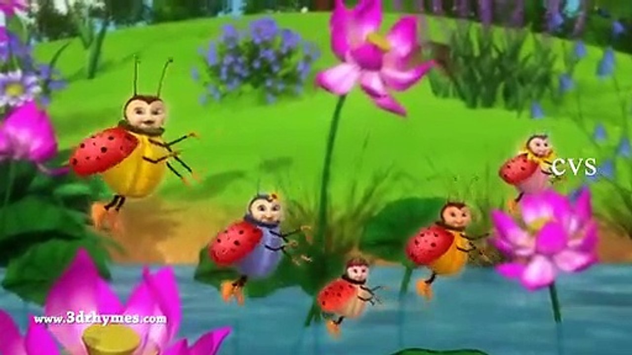 Rabbit_and_Bugs_Finger_Family_Rhymes_Animals_Finger_Family_song_Nursery ...