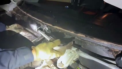 PRF apreende quase 50 quilos de cocaína na BR-277