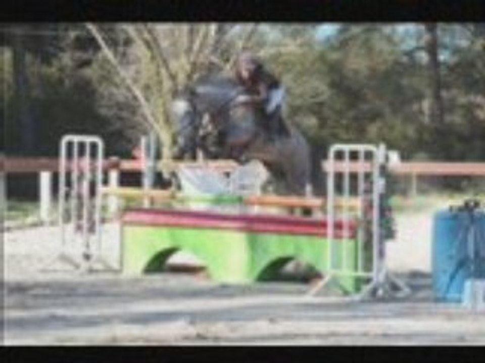 Concour sthubert mars 2008