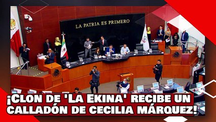 ¡VEAN! ¡Clon de la Ekina recibe un calladón de Cecilia Márquez por lucrar con los desaparecidos!
