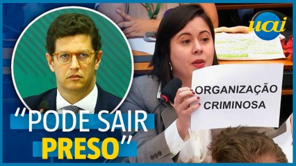 Sâmia leva cartazes e ataca Salles em CPI do MST