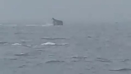 Ship carrying 70,000 litres of fuel sinks during Super Typhoon Saola