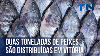 Duas toneladas de peixes são distribuídas em Vitória