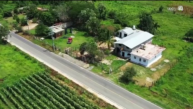 Pese a escasez de lluvias, se esperan pérdidas mínimas en cultivos de Tomatlán: Daniel Ruiz