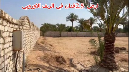 ارض للبيع في الريف الاوروبي 2.5 فدان مسجلة شهر عقاري