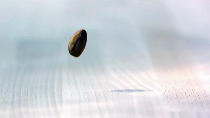 Pečie celé Slovensko | show | 2021 | Official Trailer