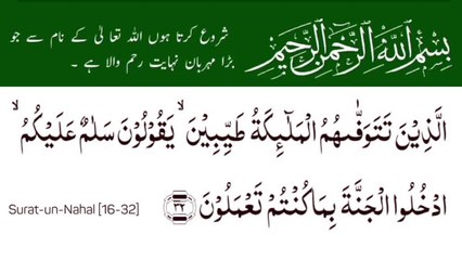Surah An-Nahl | سورة النحل | Surah 16 Ayat 32 | Surat-Un-Nahal | Quran With Urdu Translation  #surahannahl #tilawat #verseoftheday #quran