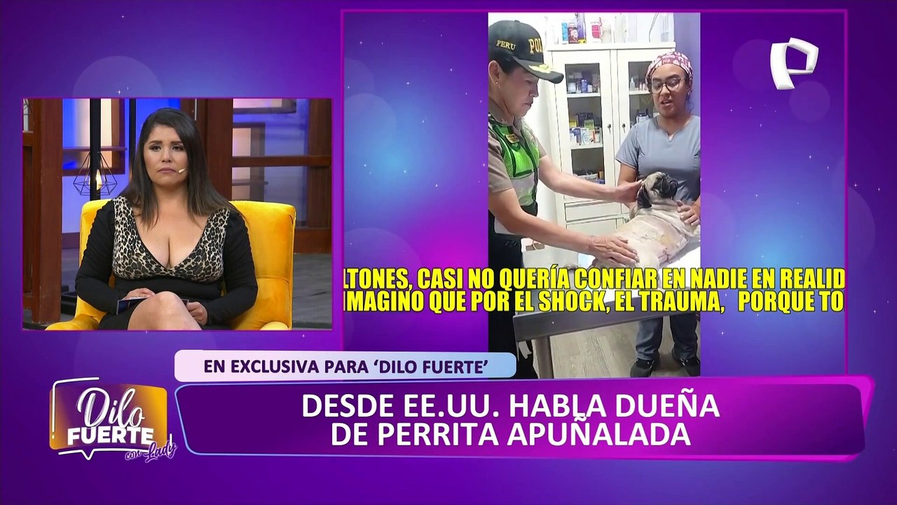 Habla en exclusiva dueña de perrita 'Dachi' que fue apuñalada por sujeto en La Victoria