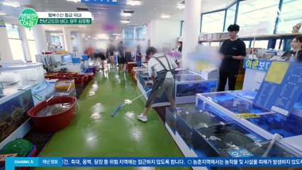 강레오(X) 빨레오(O) 수족관 청소부터 배달 서비스까지! 경주 감포항 횟집에서 막내로 살아남기 #강레오 #쉐프