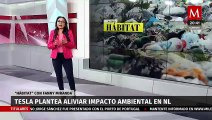 Por construcción de fábrica, Tesla busca aliviar el impacto ambiental en NL | Milenio Hábitat