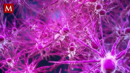 Encuentran lombriz intestinal en cerebro de una mujer australiana