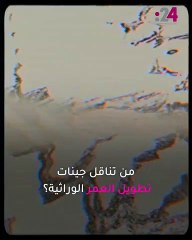 علماء ينجحون في نقل جين طول العمر