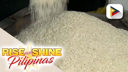DA: Presyo ng bigas, posibleng bumaba ngayong harvest season