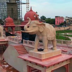 चंबल रिवर फ्रंट पर पानी के बीच सर्फिंग करता नजर आएगा 'क्रोकू'