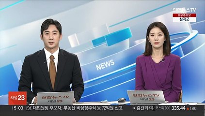 쌍둥이 아기판다 이름 공모 1주일새…3만여건 접수