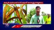 Very Low Rainfall Registered In Last Month, Creates Panic In Farmers _ V6 Digital