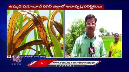 Very Low Rainfall Registered In Last Month, Creates Panic In Farmers _ V6 Digital