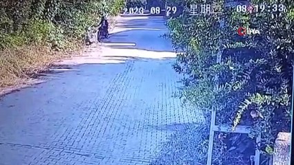 Récupération du chien volé devant la maison