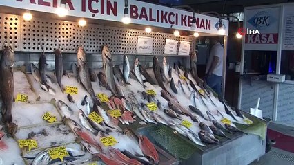 Message d'abondance de glands à un jour de la fin de l'interdiction de pêche dans les mers