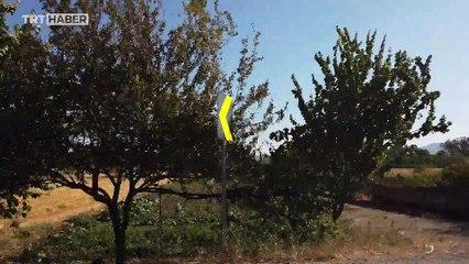 Kurtuluşun izlerini taşıyan ‘seferberlik çöreği’