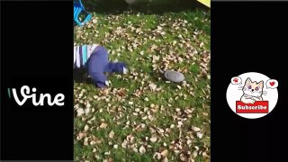 Best Funny Animal Videos Of The 2023  - Funniest Cats And Dogs Videos  Funny cat & dog videos  (2)