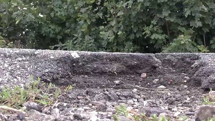 Przebudowa drogi powiatowej Czajcze - Buntowo - pow. złotowski