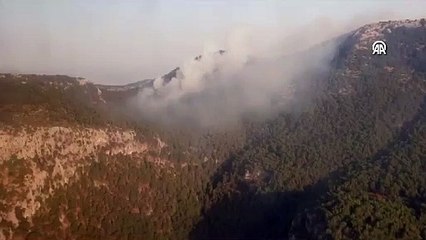 İzmir'de orman yangını çıktı