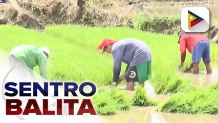 Скачать видео: Tunay na lagay ng sektor ng agrikultura, pangingisda sa bansa, target malaman sa inilunsad na 2022 Census of Agriculture and Fisheries ng PSA