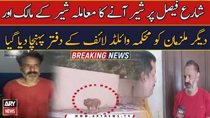 Lion in Karachi: Owner, others shifted to the Wildlife department