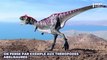 Deux fossiles de dinosaures carnivores, cousins du T-Rex, découverts par des chercheurs